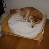 犬用家具・ベッド
